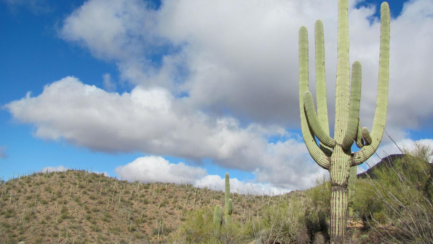 Hike into history on King Canyon Trail